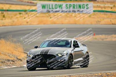 media/Oct-26-2024-Cobra Club (Sat) [[ed594ebad6]]/White Group/Session 2 (Turn 4)/